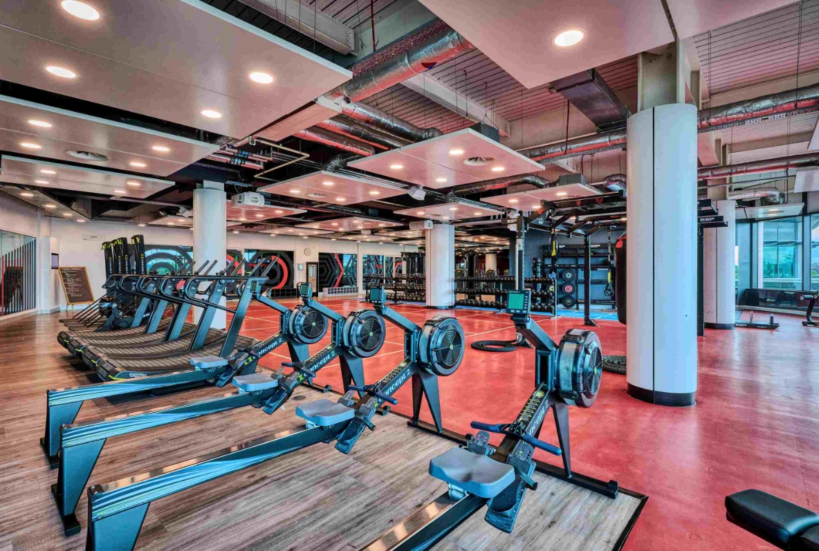 TW2 Gym