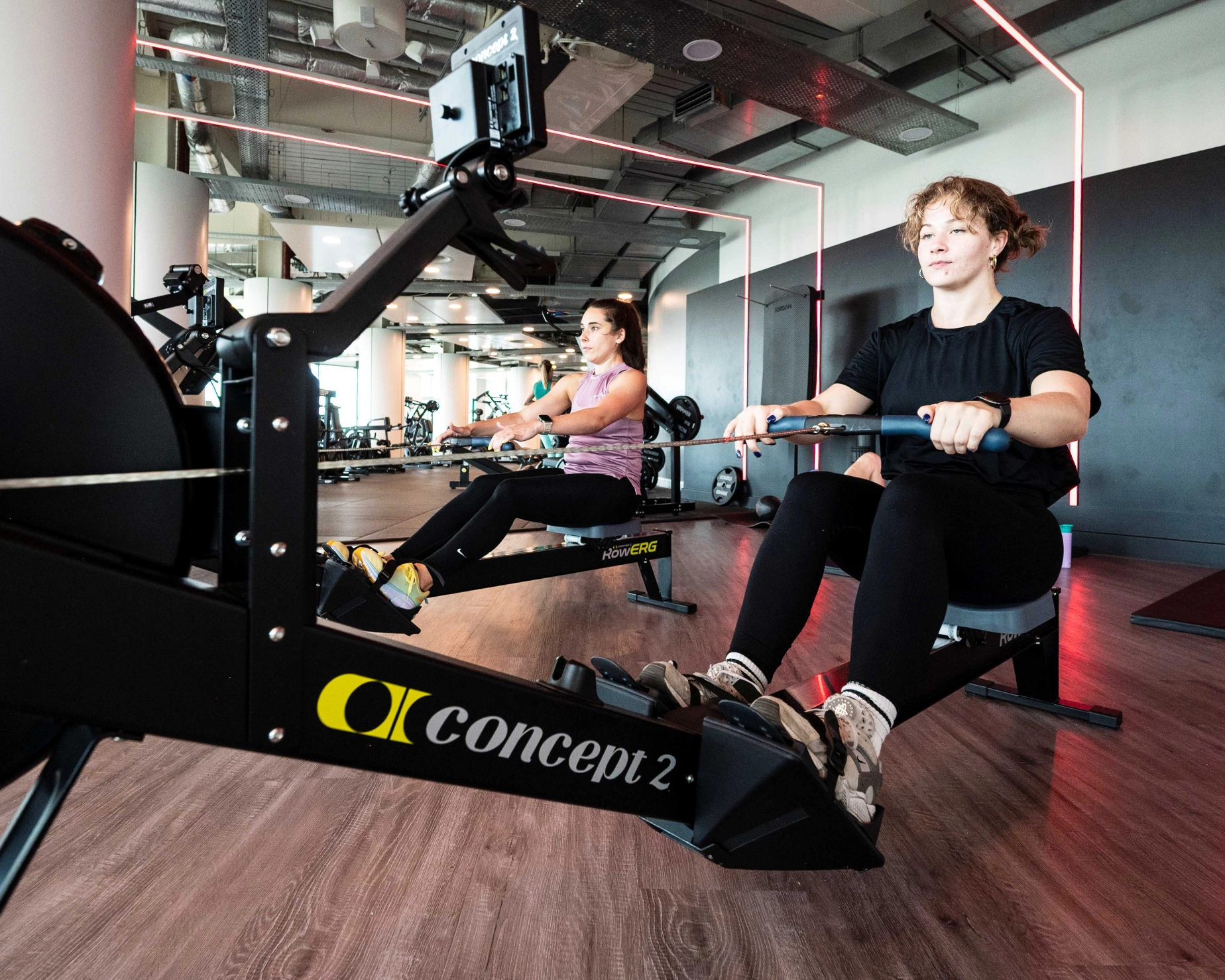 Cardio Equipment