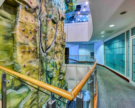 Climbing wall